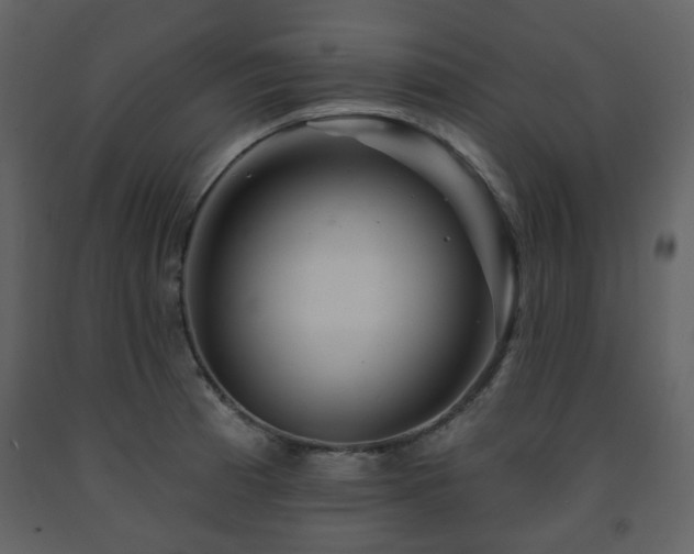 X0000091721185200708241342