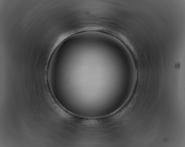 X0000091721186200708241342