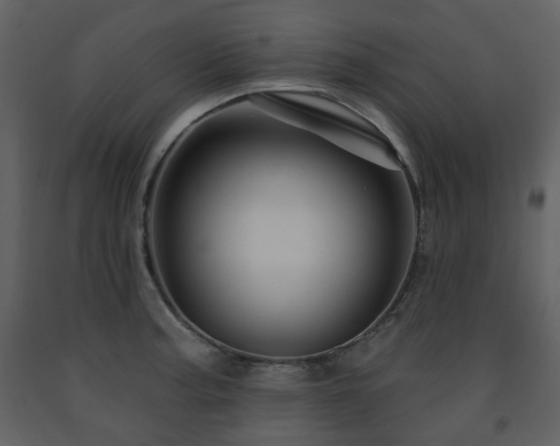 X0000091721187200708241342
