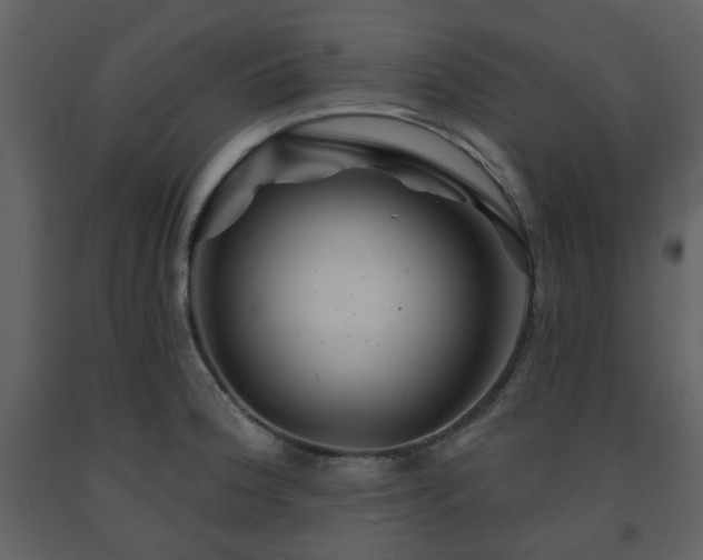 X0000091721188200708241342