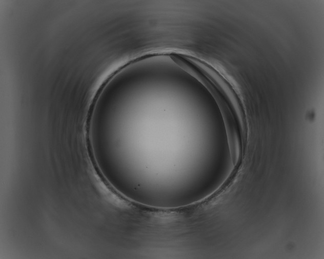 X0000091721189200708241342