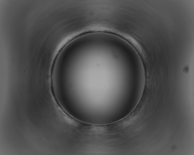 X0000091721191200708241342