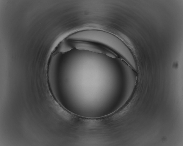 X0000091721192200708241342