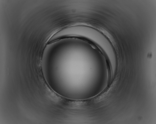 X0000091721193200708241342