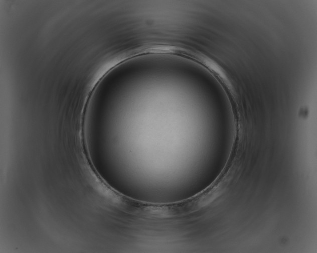 X0000091721194200708241342