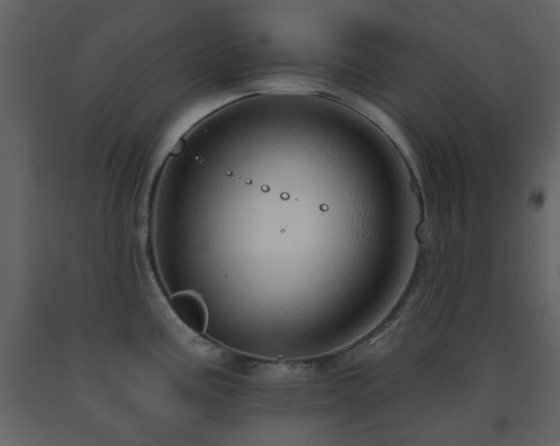 X0000091721195200708241342