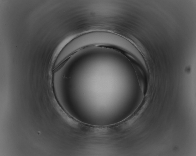 X0000091721196200708241342