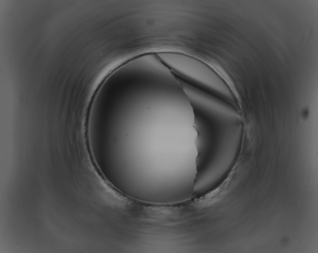 X0000091721197200708241342