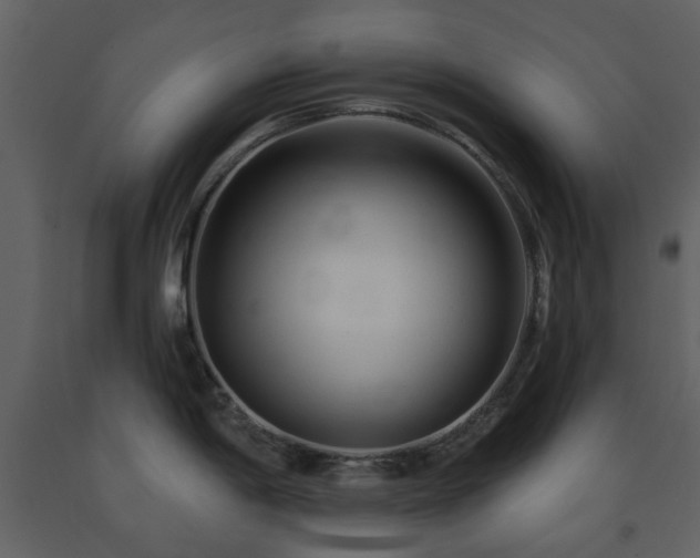 X0000091721198200708241342