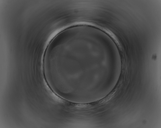 X0000091721199200708241342