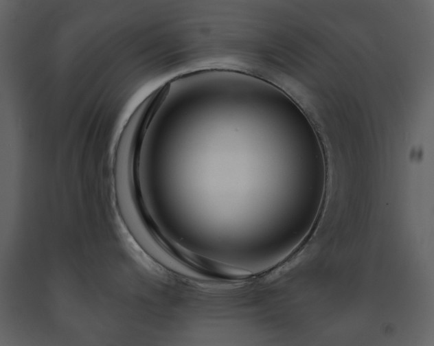 X0000091721200200708241342