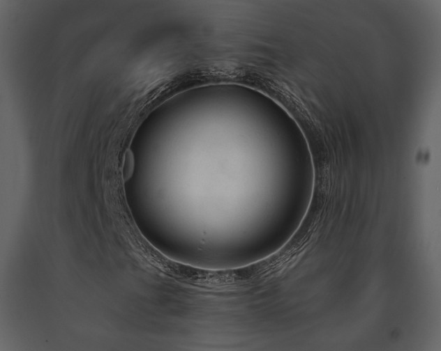 X0000091721201200708241341