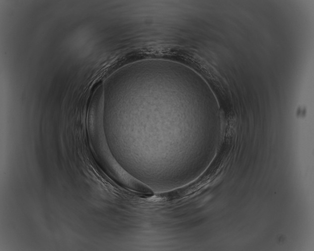 X0000091721202200708241341