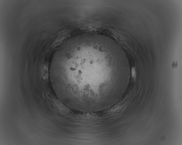 X0000091721203200708241341