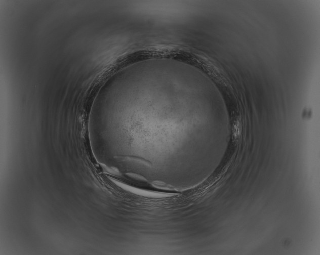 X0000091721204200708241341