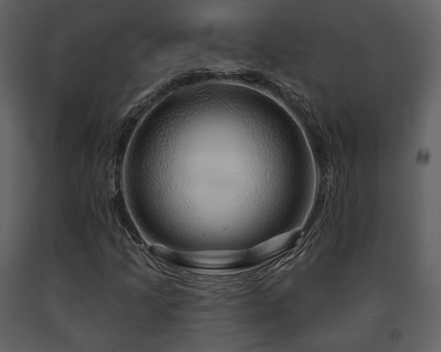 X0000091721205200708241341