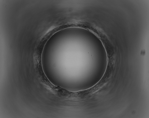 X0000091721206200708241341