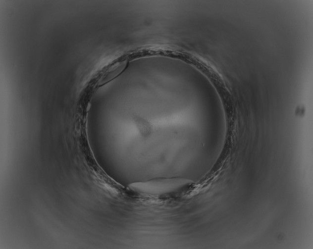 X0000091721207200708241341