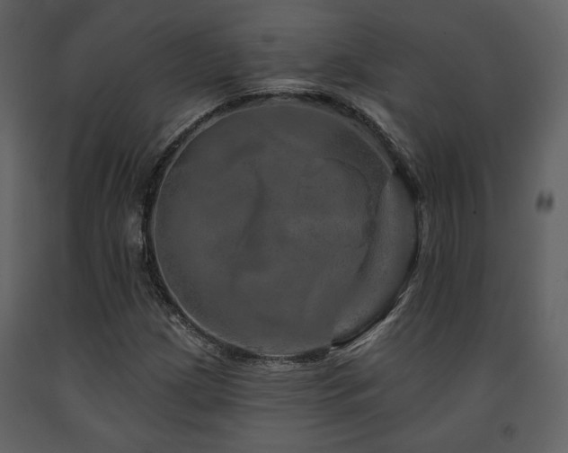 X0000091721209200708241341