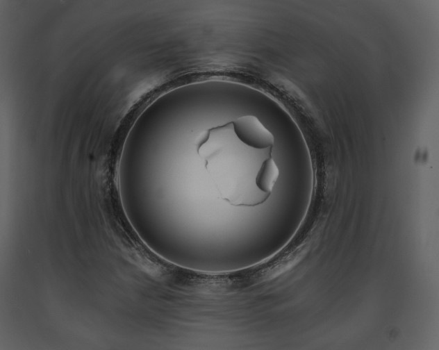 X0000091721210200708241341