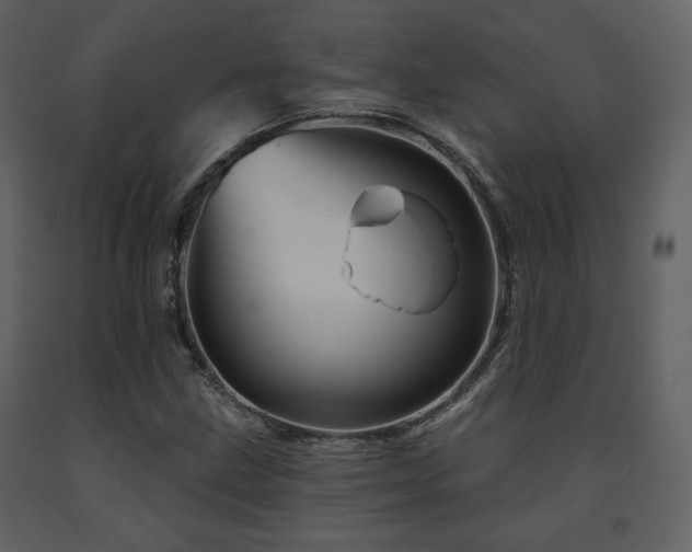 X0000091721211200708241341