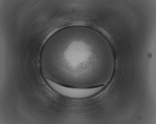 X0000091721212200708241341