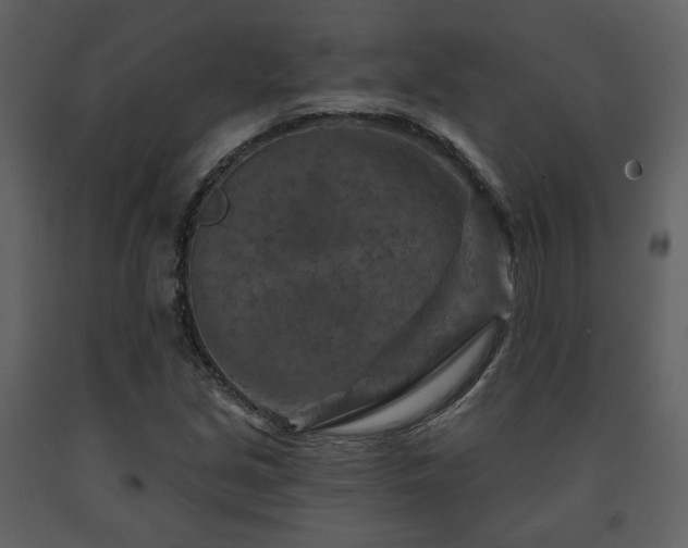 X0000091721213200708241341
