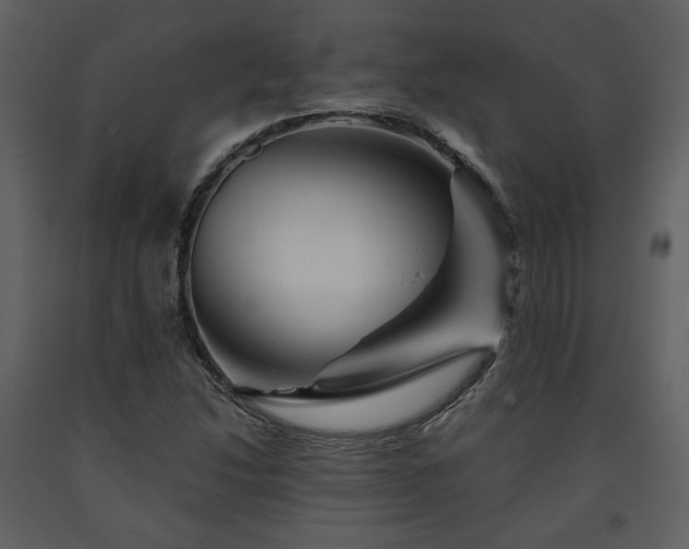 X0000091721214200708241341