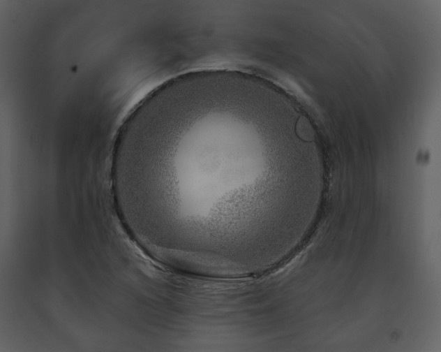 X0000091721216200708241341