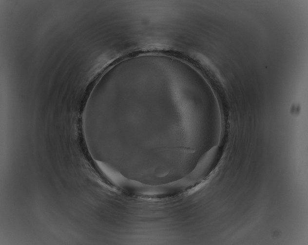 X0000091721217200708241341