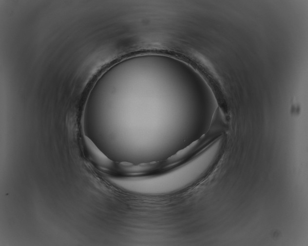 X0000091721218200708241341