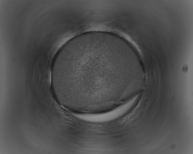 X0000091721221200708241341
