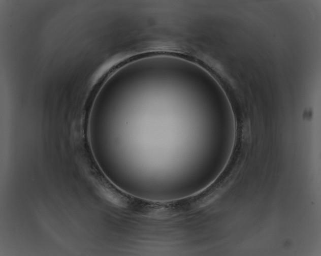 X0000091721222200708241341