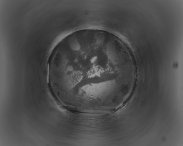 X0000091721223200708241341