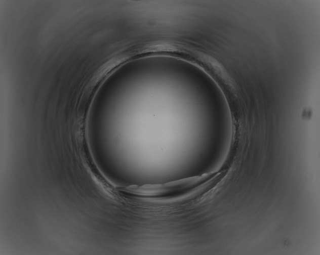 X0000091721225200708241341