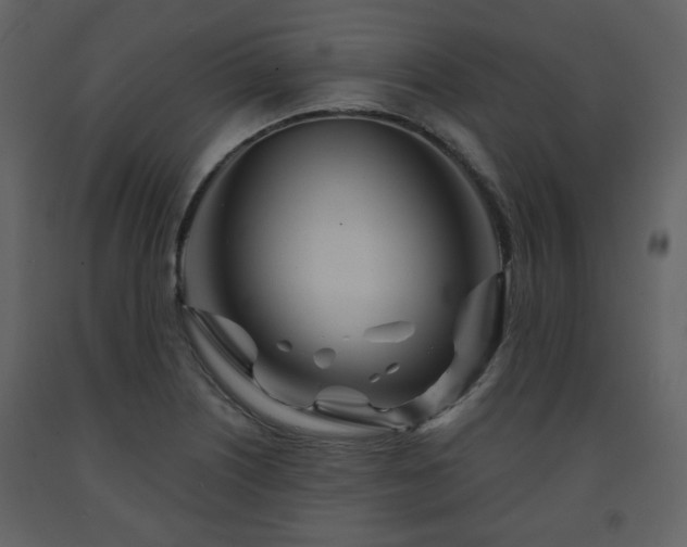 X0000091721226200708241342