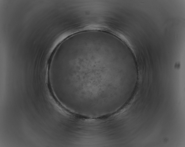 X0000091721227200708241342