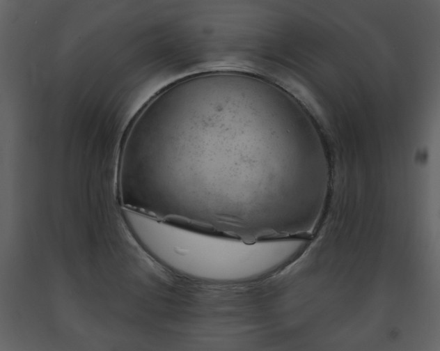 X0000091721228200708241342