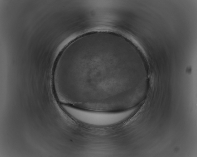 X0000091721229200708241342