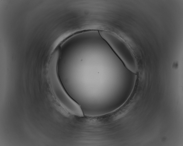 X0000091721230200708241342