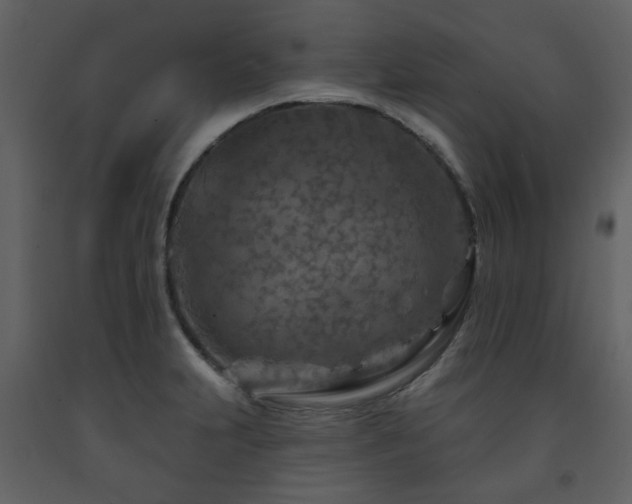 X0000091721231200708241342
