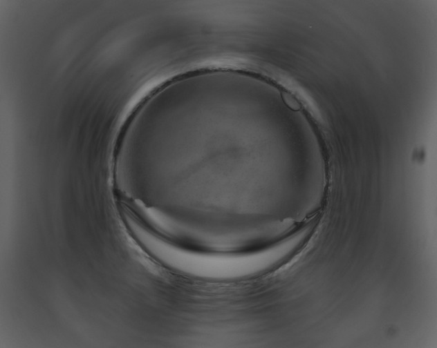 X0000091721232200708241342