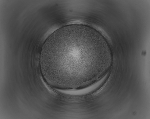 X0000091721233200708241342