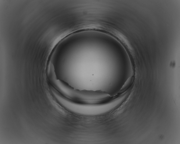 X0000091721234200708241342