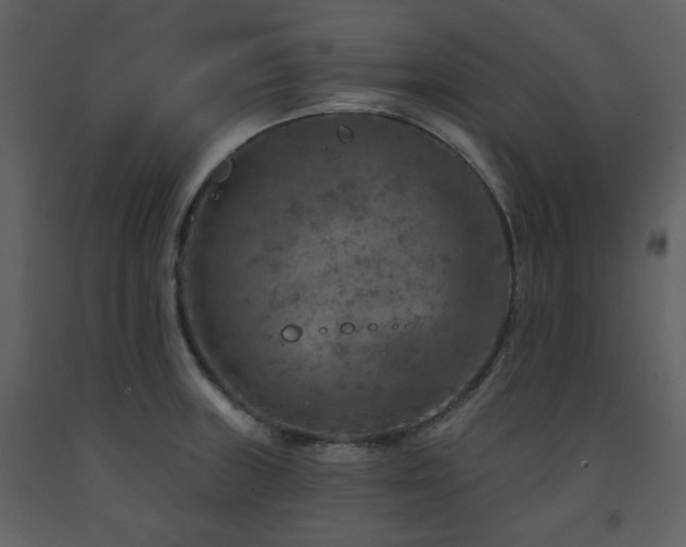 X0000091721235200708241342