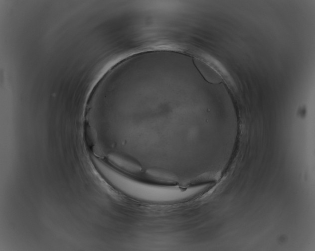 X0000091721236200708241342