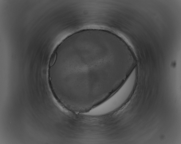 X0000091721237200708241342