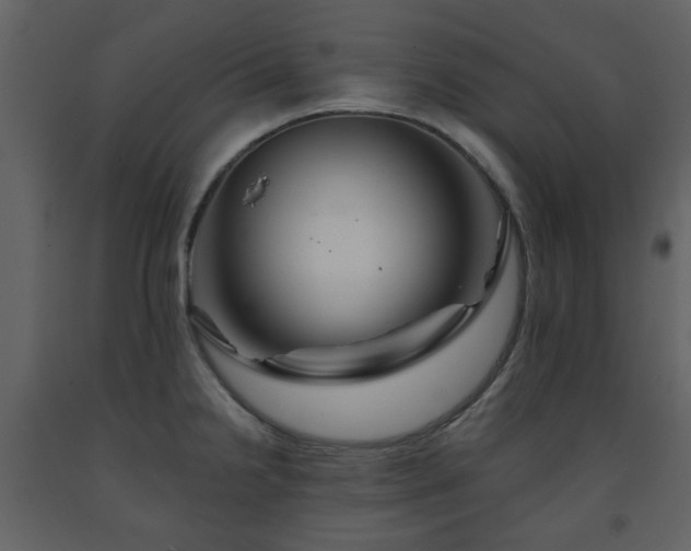 X0000091721238200708241342