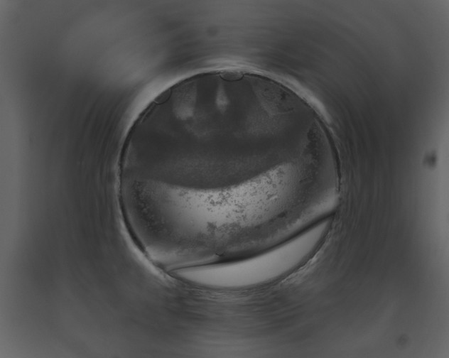 X0000091721239200708241342