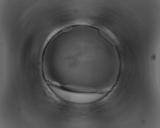 X0000091721240200708241342